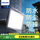 飛利浦（PHILIPS） LED投光燈投射燈工地照明燈路燈泛光防水投射防撞燈露營營地IP65 10W6500K白光