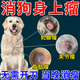 狗狗脂肪瘤恒草芬素消身上長(cháng)疙瘩寵物脂肪瘤鼓包身上凸起消腫專(zhuān)用 1盒 30g