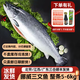 嘗鮮生 冰鮮挪威三文魚整條（大西洋鮭）10-12斤刺身/整條三文魚 冰鮮整條凈重 5kg -6kg分切請(qǐng)留言