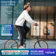 大行（DAHON）D10折疊自行車20英寸10速成人復(fù)古休閑運(yùn)動自行車HAC003 褐綠幻彩
