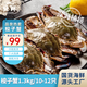 至鮮 梭子蟹2.6斤/10-12只整只液氮無包冰新鮮大螃蟹2-3兩/只呂四黃海海蟹冷凍