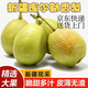 潤小萌正宗新疆庫爾勒香梨生鮮水果特級薄皮整箱直發(fā)禮盒京東快遞 8斤(80-100g小果)