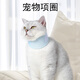 金日滿(mǎn) 伊麗莎白圈 寵物狗狗小幼貓咪項頸脖頭套防舔咬絕育驅蟲(chóng)用品公母 寵物防舔圍脖【藍色20-28cm可調節】