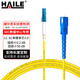 HAILE電信級光纖跳線(xiàn)LC-FC-SC(UPC) 萬(wàn)兆單模單芯OS2 9/125小方頭轉圓頭轉大方頭 收發(fā)器尾纖跳纖光纖線(xiàn) （LC-SC）小方頭LC轉SC大方頭 2米