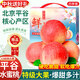 京地達北京平谷新鮮水蜜桃子中秋送禮盒凈重6斤單果250g+源頭直發(fā)包郵