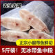勛勛之海新鮮海捕四指寬特大帶魚(yú)段去頭去尾中段特大號非舟山帶魚(yú)無(wú)冰凈重 帶魚(yú)中段1斤裝500g*1包