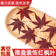新鮮真空鹽漬包裝紅楓葉秋季咖啡雞尾酒蛋糕烘焙西餐擺盤(pán)裝飾花草 紅楓葉10片【真空耐放1年】