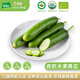有機匯有機水果黃瓜小黃瓜 生吃輕食沙拉蔬菜 有機基地種植 新鮮無(wú)農殘 5斤裝水果黃瓜