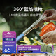 火楓（FIRE-MAPLE）360藍(lán)焰噴槍特別版自動點火器卡式燒豬毛烘培噴火槍便攜式燒烤