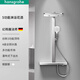 德國漢斯格雅幻雨魔法師460花灑套裝hansgrohe五功能空氣增壓花灑 銀色幻雨魔法師套裝
