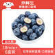京鮮生 進口秘魯藍莓6盒裝 JUMBO 18mm+ 約125g/盒 生鮮水果 源頭直發(fā)