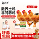 楊博士 皖南散養(yǎng)土雞4只 凈重4斤 未打鳴小公雞童子雞三黃雞源頭直發(fā)