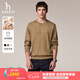 哈吉斯（HAZZYS）男裝 春秋季大logo長(zhǎng)袖衣服休閑男上衣圓領(lǐng)衛(wèi)衣男ABTZE0CCF02 駝色CM XL （180/100A 50）