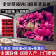 SONY AXSM超高清100寸全面屏8K智能網(wǎng)絡(luò)語音55/65/75/85液晶電視機(jī) 43英寸