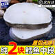 勛勛之海新鮮鱈魚塊俄羅斯鱈魚中段深海鱈魚肉冷凍鱈魚塊順豐包郵海鮮水產(chǎn) 原切鱈魚中段 400g *3袋【6塊】