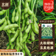 北蔬 毛豆種子苗粒大鮮食大莢青黃豆菜豆四季種籽 淮鮮豆7號種子500g