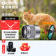 索尼（SONY） E50mm F1.8 OSS  APS-C畫(huà)幅 定焦  50F1.8半畫(huà)幅定焦鏡頭 街拍  特寫(xiě)人像 銀色E50F1.8+尼克斯49UV