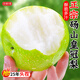 京地達碭山青皮皇冠梨 凈重9斤單果250g 青皮翠冠梨梨子源頭直發(fā)包郵