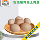 彩虹雨生態(tài)散養新鮮粉殼雞蛋10枚裝柴雞蛋土雞蛋初產(chǎn)蛋 粉殼雞蛋