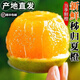 湖北秭歸夏橙臍橙當(dāng)季新鮮水果孕婦手剝現(xiàn)摘橙子產(chǎn)地直發(fā) 5/9斤裝 熱銷（凈重4.5斤） 單果60MM+