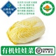 【有機】娃娃菜 精選新鮮黃心娃娃菜 火鍋配菜時(shí)令生鮮蔬菜 400g*6份【百搭嘗鮮】