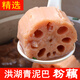 洪湖青泥巴蓮藕5斤(煲湯粉藕)粉糯香甜消費主張洪湖蓮藕新鮮蔬菜 洪湖青泥巴精品蓮藕