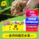 史丹利（STANLEY）水苔蝴蝶蘭專(zhuān)用土干苔蘚養蘭花的營(yíng)養土優(yōu)質(zhì)文石斛心蘭烏龜