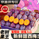 田拾記正宗西梅【JD/順豐-多地次日達】新鮮大西梅李子孕婦藍蜜水果送禮 凈重3斤裝【80%人選很劃算】 單果20-30g丨甜