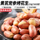 正宗五香黃芪黨參烤花生米官方店山東脫油花生沂蒙山新貨炒貨 不含干燥劑 黃芪黨參烤花生15g*10小包