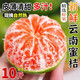 山姆大叔云南蜜桔【送貨上門】桔子青皮蜜橘小青檸橘子中秋禮品水果禮盒 (熱銷50%買）皮薄多汁 | 45-50mm 10斤裝【家庭自由暢吃】凈9斤