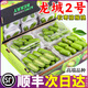 田拾記軟棗獼猴桃 【順豐速運】奇異莓丹東龍城2號水果送禮品物 甄選果丨5斤裝丨口感翻倍 9A級丨單果20-30g+丨我超甜