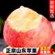 茗果樹(shù)正宗山東紅富士蘋(píng)果新鮮水果當季整箱棲霞脆甜冰糖心蘋(píng)果包郵 精選4斤大果【75-80mm】