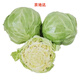 京地達山東綠甘藍 卷心菜 單棵500g 凈重4.5斤 源頭直發(fā)包郵