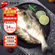 巢三珍 三去開(kāi)背斑點(diǎn)叉尾鮰魚(yú)400g冷凍冰鮮魚(yú)水產(chǎn)烤魚(yú)燒烤食材