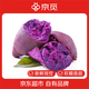 京覓湖北沙地紫薯 凈重3斤(贈(zèng)送1.5斤實(shí)得4.5斤) 單果100g+ 源頭直發(fā)