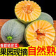 甜果源 哈密瓜 甜瓜蜜瓜脆甜皮薄肉厚多汁果農(nóng)新鮮現(xiàn)摘山東應(yīng)季新鮮水果 5斤【80%人選擇】