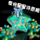 魔豆勝活幸運星熒光發(fā)光星星折紙夜光許愿瓶紙條寫(xiě)字手工情侶生日禮物 210張夜光折紙+中號星星瓶+絲帶+木塞