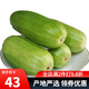 迭果河北滄州菜瓜八棱脆瓜新鮮水果酥梢瓜老年人低糖燒瓜4斤