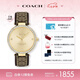 蔻馳（COACH）PARK系列C標壓紋皮表帶34mm 石英女表 14503456 七夕禮物/送禮