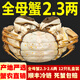 【活蟹】仲秋大閘蟹鮮活水產(chǎn)生鮮禮盒中秋送禮 全母蟹2.3-2.6兩  12只