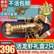 首鮮道【活鮮】波士頓龍蝦鮮活波龍 大龍蝦海鮮鮮活禮盒大蝦年貨禮盒 500-600g/只大龍蝦*2只