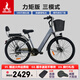 鳳凰（Phoenix）新國標電動(dòng)自行車(chē)成人鋰電池電動(dòng)車(chē)男女士小型電瓶車(chē)長(cháng)續航電動(dòng)助力自行車(chē) L8灰/力矩傳感/7速/24寸輻條輪/5檔儀表 20AH電動(dòng)續航60公里