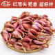 壽禾 四季紅蔥頭小蔥種子火蔥頭四川干皮秋冬季蔬菜萊疏菜陽(yáng)臺種種籽 紅蔥頭 半斤+50g有機肥