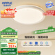 歐普（OPPLE）48瓦吸頂燈客廳臥室燈簡約護(hù)眼智控調(diào)光LED燈具18㎡品見III包安裝