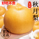 秦悅仙果鮮【京嚴(yán)選-多地隔日達(dá)】山東秋月梨新鮮水果冰糖梨中秋送禮整箱 精選5斤巨無(wú)霸【350g+】?jī)糁?.5