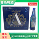 青島啤酒奧古特A3 10.7度全麥啤酒 登州路一廠(chǎng)生產(chǎn) 480mL 12瓶 兩箱