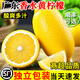 農滋滋廣東香水黃檸檬9斤/5斤/3斤新鮮生鮮水果檸檬奶茶店專(zhuān)用整箱批發(fā)9斤100-200g特大果[獨立彩袋]