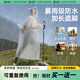 巴迪高（BADIGAO）一次性雨衣加厚成人一體全身防暴雨加大一體全身透明便攜戶外