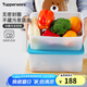 特百惠（Tupperware）冷凍密封食品級冰箱收納塑料露營野餐保鮮盒無包裝5.7L家居館 2個 5.7L 無包裝盒