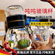 WCZ德國(guó)玻璃噸杯高硼硅耐熱帶蓋小巧便攜茶水分離泡茶杯子高顏 白色360ML【玻璃杯蓋可喝水】
